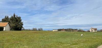 Terrain à Vernou-en-Sologne en Loir-et-Cher (41) de 3024 m² à vendre au prix de 30990€ - 2