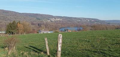Terrain à Sexey-aux-Forges en Meurthe-et-Moselle (54) de 1202 m² à vendre au prix de 138300€ - 2