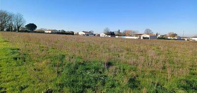 Terrain à Grézac en Charente-Maritime (17) de 521 m² à vendre au prix de 68000€ - 3