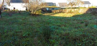 Terrain à Crach en Morbihan (56) de 664 m² à vendre au prix de 249500€ - 3