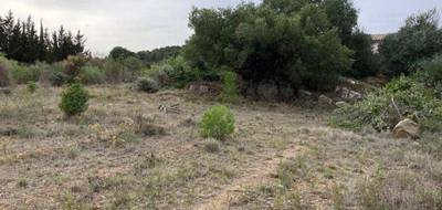 Terrain à Mailhac en Aude (11) de 1400 m² à vendre au prix de 128000€ - 4