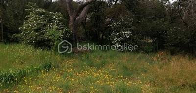 Terrain à Villeneuve-lès-Avignon en Gard (30) de 425 m² à vendre au prix de 140000€ - 3