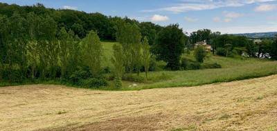 Terrain à Riscle en Gers (32) de 18000 m² à vendre au prix de 62000€ - 3