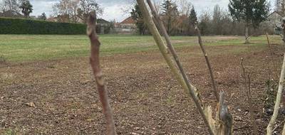 Terrain à Bourges en Cher (18) de 1765 m² à vendre au prix de 59500€ - 3