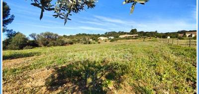 Terrain à Neffiès en Hérault (34) de 2673 m² à vendre au prix de 279500€ - 3