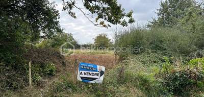 Terrain à Brains-sur-Gée en Sarthe (72) de 2300 m² à vendre au prix de 43900€ - 2