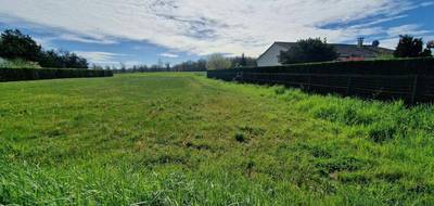 Terrain à Neuvic en Dordogne (24) de 1612 m² à vendre au prix de 40000€ - 1