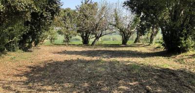 Terrain à Saint-Augustin en Charente-Maritime (17) de 745 m² à vendre au prix de 125000€ - 2