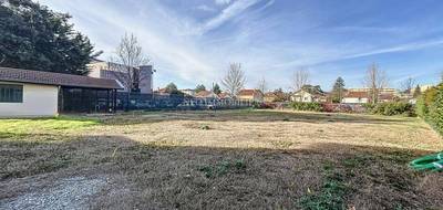 Terrain à Francheville en Rhône (69) de 760 m² à vendre au prix de 530000€ - 4