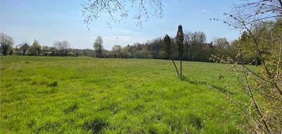 Terrain à Cabourg en Calvados (14) de 813 m² à vendre au prix de 111400€ - 4