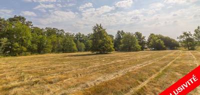 Terrain à La Ferté-Imbault en Loir-et-Cher (41) de 3565 m² à vendre au prix de 31990€ - 1