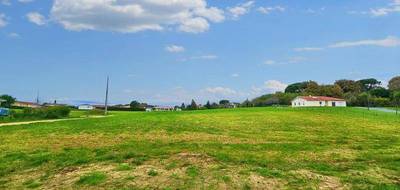 Terrain à Sainte-Colombe en Landes (40) de 2200 m² à vendre au prix de 35000€ - 1