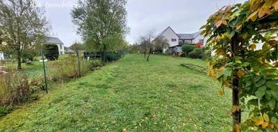 Terrain à Amboise en Indre-et-Loire (37) de 1600 m² à vendre au prix de 251000€ - 1