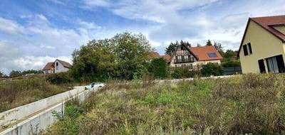 Terrain à Rosenwiller en Bas-Rhin (67) de 240 m² à vendre au prix de 174000€ - 4