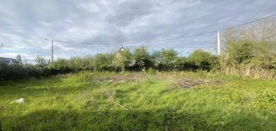 Terrain à Verton en Pas-de-Calais (62) de 1469 m² à vendre au prix de 149000€ - 3