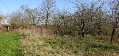 Terrain à Chuelles en Loiret (45) de 1341 m² à vendre au prix de 25000€ - 2