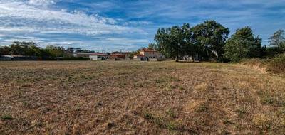 Terrain à Cintegabelle en Haute-Garonne (31) de 8674 m² à vendre au prix de 520000€ - 4