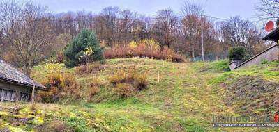 Terrain à Wildersbach en Bas-Rhin (67) de 750 m² à vendre au prix de 45000€ - 2