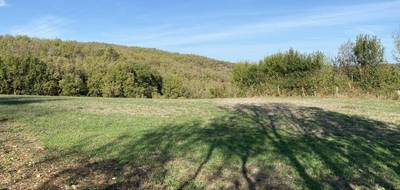 Terrain à Bruniquel en Tarn-et-Garonne (82) de 1178 m² à vendre au prix de 37000€ - 3