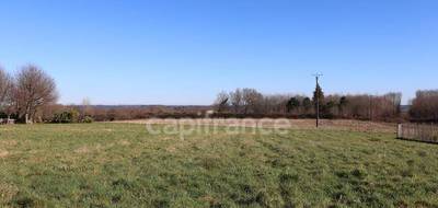 Terrain à Saint-Palais-de-Négrignac en Charente-Maritime (17) de 3264 m² à vendre au prix de 41000€ - 1