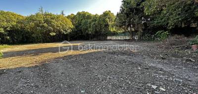 Terrain à Saussines en Hérault (34) de 1196 m² à vendre au prix de 245000€ - 2