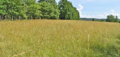 Terrain à La Cassagne en Dordogne (24) de 5580 m² à vendre au prix de 82000€ - 4