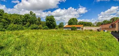 Terrain à Oye-Plage en Pas-de-Calais (62) de 555 m² à vendre au prix de 79000€ - 4