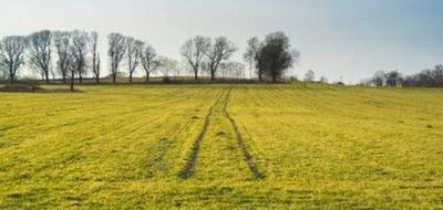 Terrain à Miribel en Ain (01) de 857 m² à vendre au prix de 479250€ - 1