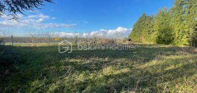 Terrain à Bouzonville-aux-Bois en Loiret (45) de 683 m² à vendre au prix de 29000€ - 1