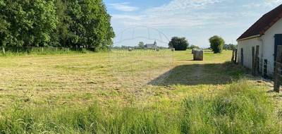 Terrain à Mouriez en Pas-de-Calais (62) de 4459 m² à vendre au prix de 55000€ - 3