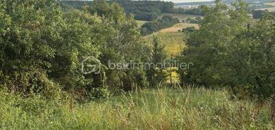 Terrain à Auch en Gers (32) de 1013 m² à vendre au prix de 19900€ - 1