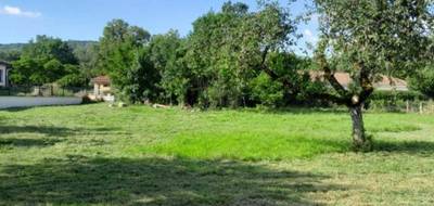 Terrain à Druillat en Ain (01) de 880 m² à vendre au prix de 88000€ - 2