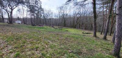 Terrain à Queyssac en Dordogne (24) de 1959 m² à vendre au prix de 43000€ - 1