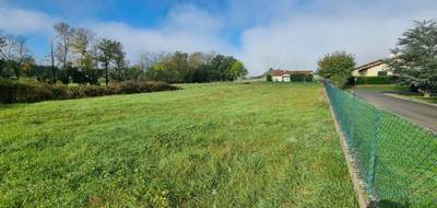 Terrain à Saint-Vincent en Haute-Loire (43) de 1000 m² à vendre au prix de 40000€ - 2