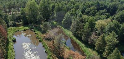 Terrain à Saint-Mars-la-Brière en Sarthe (72) de 6800 m² à vendre au prix de 29900€ - 1