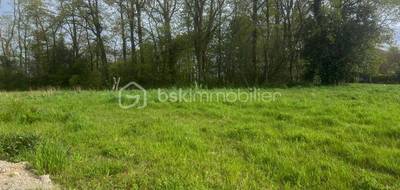 Terrain à Plumergat en Morbihan (56) de 494 m² à vendre au prix de 96000€ - 4