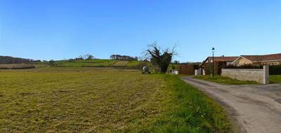 Terrain à Labastide-Villefranche en Pyrénées-Atlantiques (64) de 3000 m² à vendre au prix de 105000€ - 4