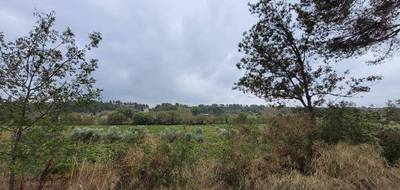 Terrain à Rieux-Minervois en Aude (11) de 1500 m² à vendre au prix de 54000€ - 1