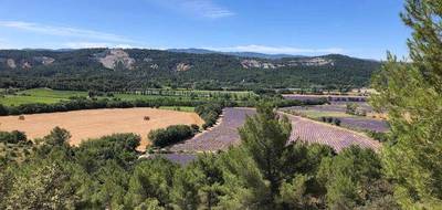 Terrain à Rustrel en Vaucluse (84) de 1311 m² à vendre au prix de 165000€ - 2