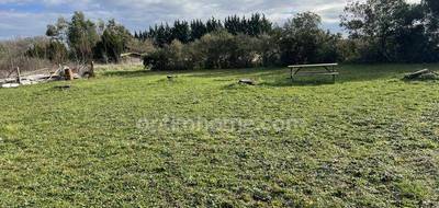 Terrain à Montaigut-sur-Save en Haute-Garonne (31) de 1000 m² à vendre au prix de 141000€ - 4