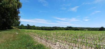 Terrain à Mugron en Landes (40) de 566 m² à vendre au prix de 50000€ - 1