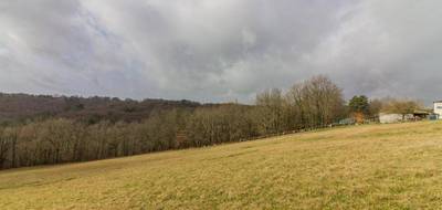 Terrain à Peyzac-le-Moustier en Dordogne (24) de 3000 m² à vendre au prix de 63000€ - 2