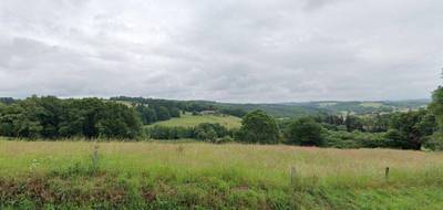 Terrain à Châteauneuf-la-Forêt en Haute-Vienne (87) de 13384 m² à vendre au prix de 131520€ - 1