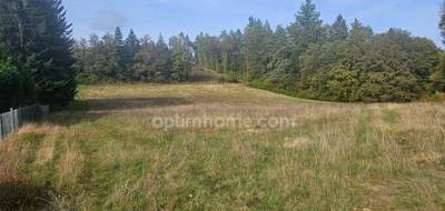 Terrain à Saint-Sylvestre en Haute-Vienne (87) de 10959 m² à vendre au prix de 55000€ - 2