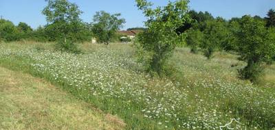 Terrain à Coux et Bigaroque-Mouzens en Dordogne (24) de 3445 m² à vendre au prix de 49000€ - 4