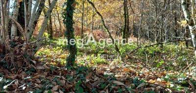 Terrain à Le Chastang en Corrèze (19) de 3064 m² à vendre au prix de 24000€ - 1