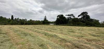 Terrain à Valence en Tarn-et-Garonne (82) de 12340 m² à vendre au prix de 65000€ - 2