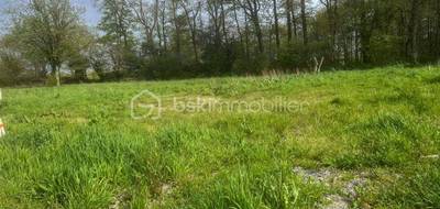 Terrain à Plumergat en Morbihan (56) de 494 m² à vendre au prix de 96000€ - 3