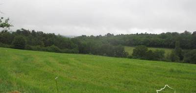 Terrain à Tamniès en Dordogne (24) de 2507 m² à vendre au prix de 35000€ - 2