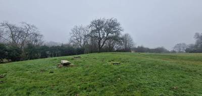 Terrain à Champagné en Sarthe (72) de 1947 m² à vendre au prix de 95800€ - 3